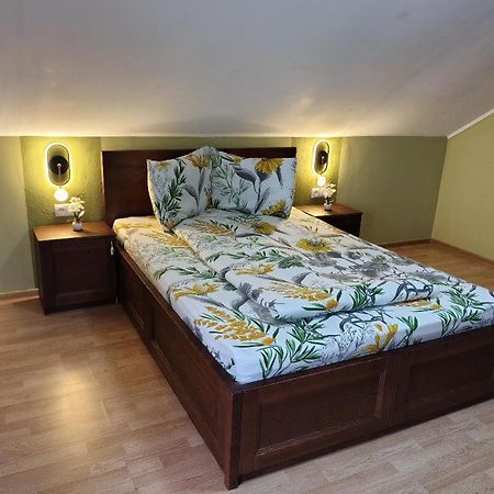 Vis Pension Viile Satu Mare Dış mekan fotoğraf