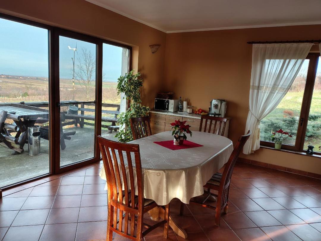 Vis Pension Viile Satu Mare Dış mekan fotoğraf