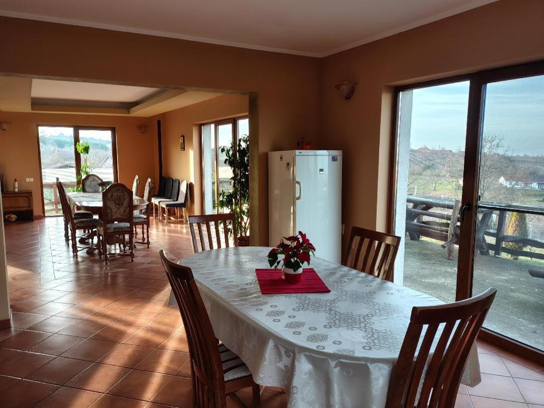 Vis Pension Viile Satu Mare Dış mekan fotoğraf
