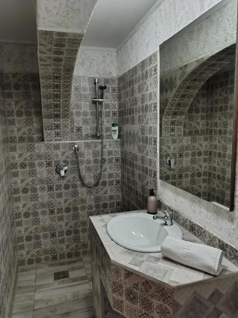 Vis Pension Viile Satu Mare Dış mekan fotoğraf
