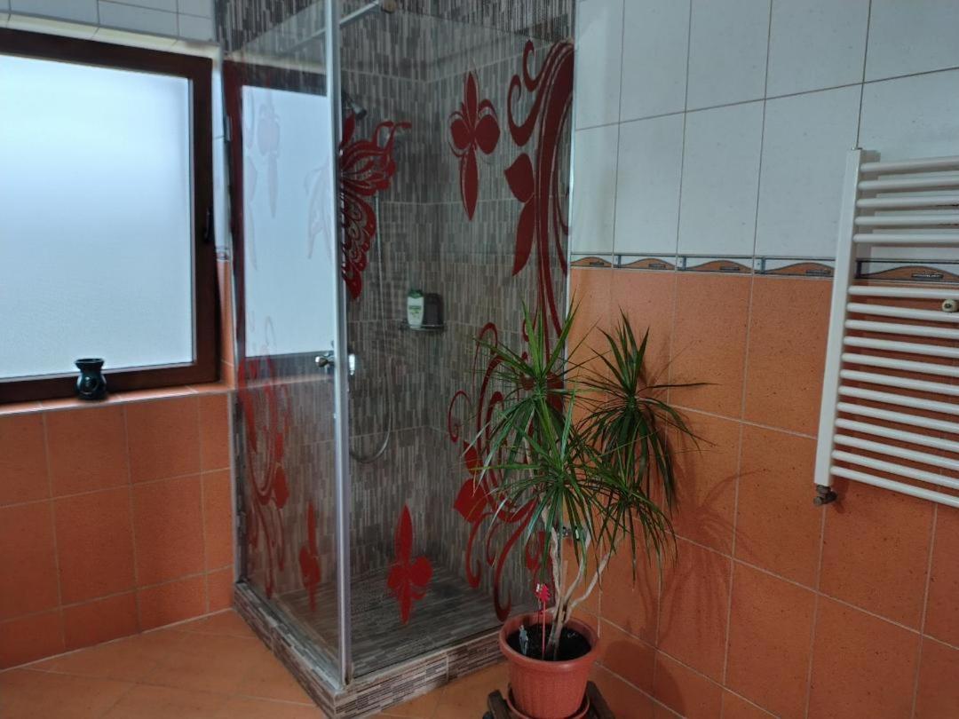 Vis Pension Viile Satu Mare Dış mekan fotoğraf