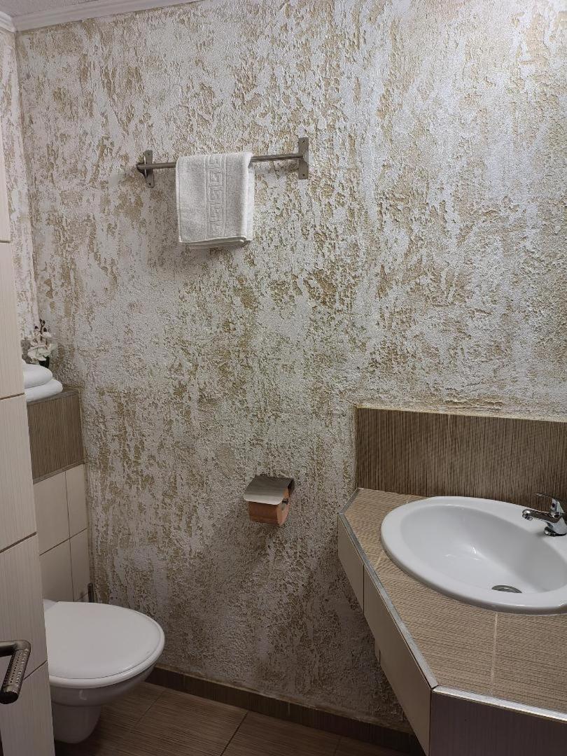 Vis Pension Viile Satu Mare Dış mekan fotoğraf