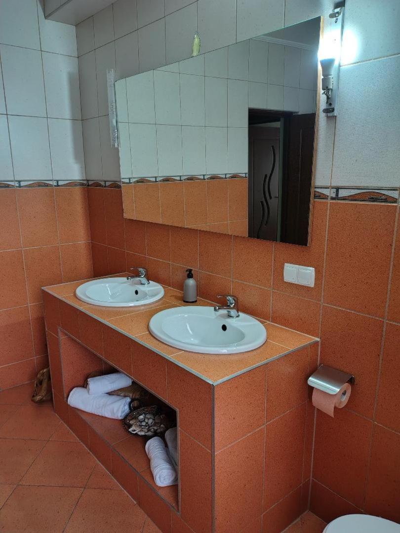 Vis Pension Viile Satu Mare Dış mekan fotoğraf