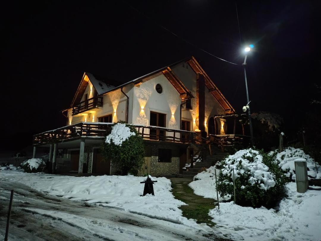 Vis Pension Viile Satu Mare Dış mekan fotoğraf