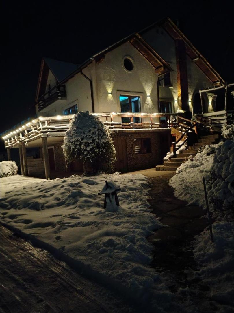 Vis Pension Viile Satu Mare Dış mekan fotoğraf