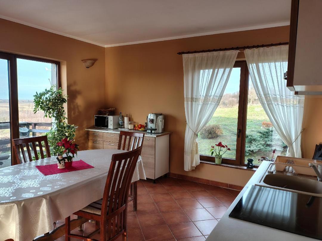 Vis Pension Viile Satu Mare Dış mekan fotoğraf