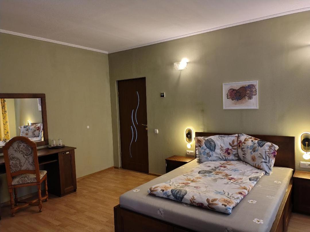 Vis Pension Viile Satu Mare Dış mekan fotoğraf
