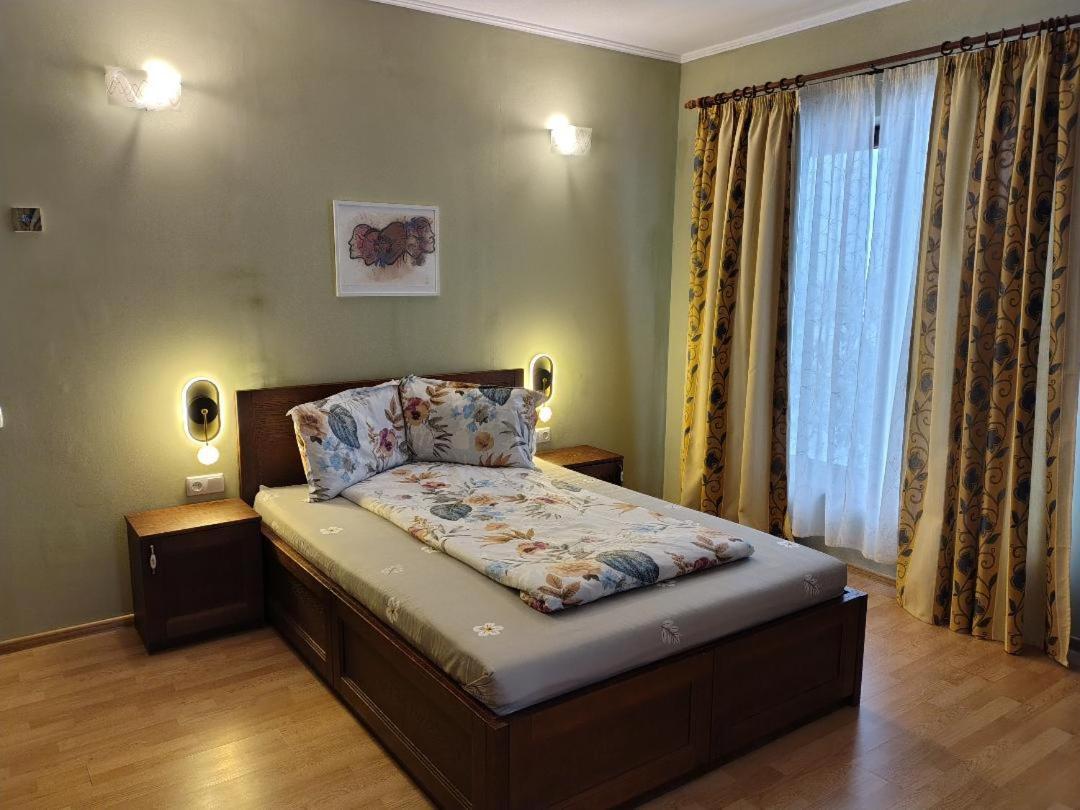 Vis Pension Viile Satu Mare Dış mekan fotoğraf